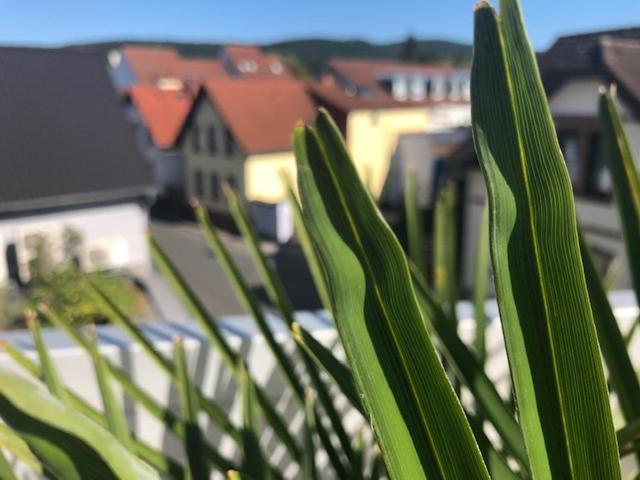 Wohnen Beim Brotsommelier - Alpenkruste Darmstadt Exterior foto